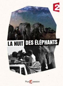 Affiche du film "La Nuit des Éléphants"
