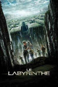 Affiche du film "Le Labyrinthe"