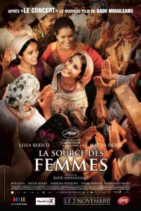 Affiche du film "La source des femmes"
